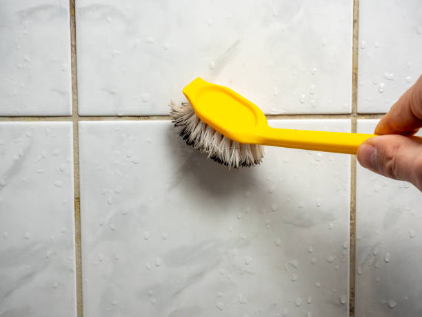 Best Black Mold Removal  in Sans Souci, SC