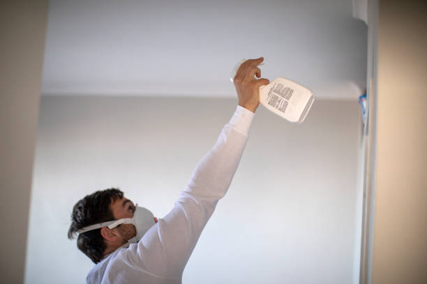 Best Mold Damage Repair  in Sans Souci, SC