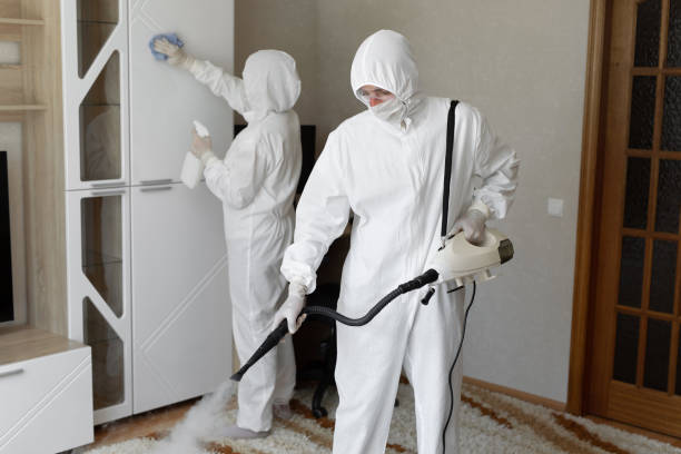Mold Testing and Removal in Sans Souci, SC
