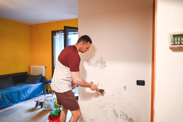 Best Commercial Mold Removal  in Sans Souci, SC